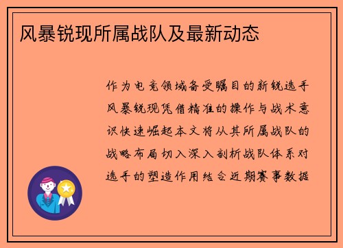 风暴锐现所属战队及最新动态